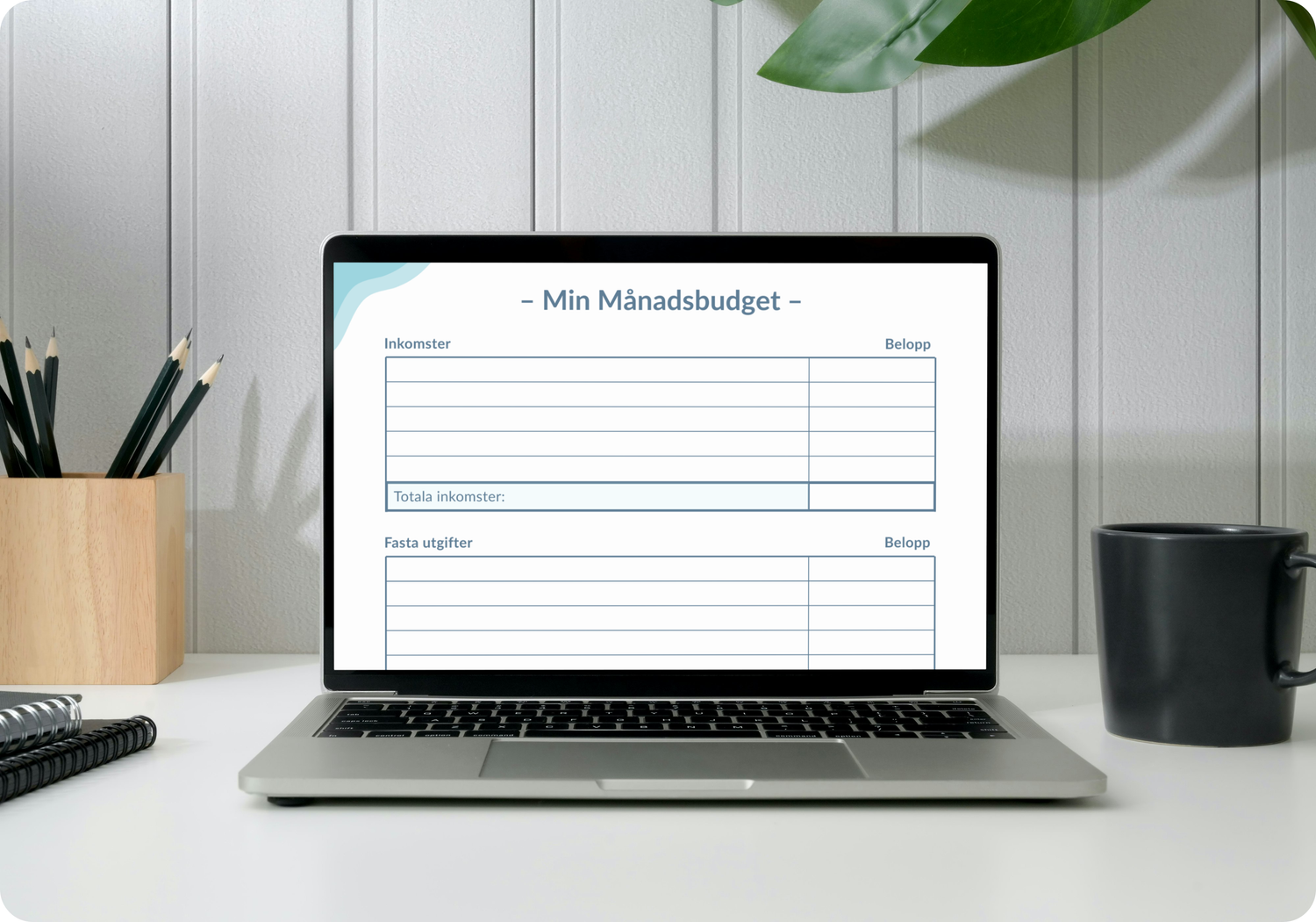 Vardagsekonomi & bil